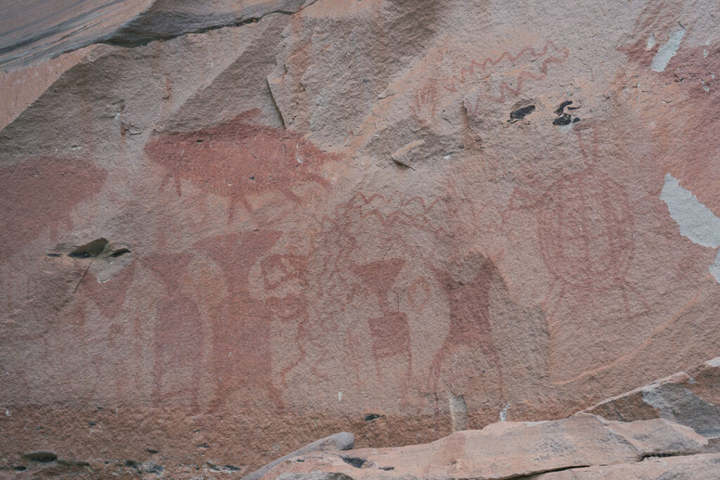 Rock paintings of turtles and giant catfish at Pha Taem