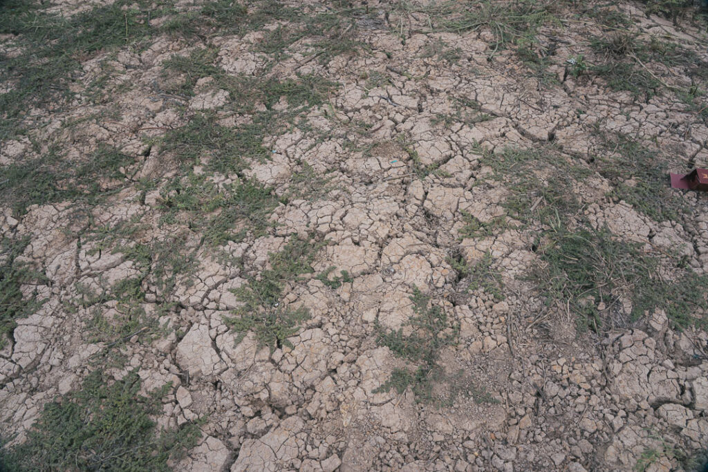 雨季を待っているカラカラに乾燥した地面